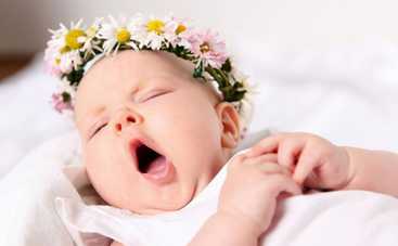 Денежная помощь при рождении ребенка: какие документы куда подавать