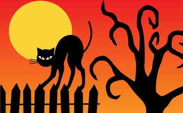 2017 - год вдовы или вдовца: верить или не верить приметам и суевериям