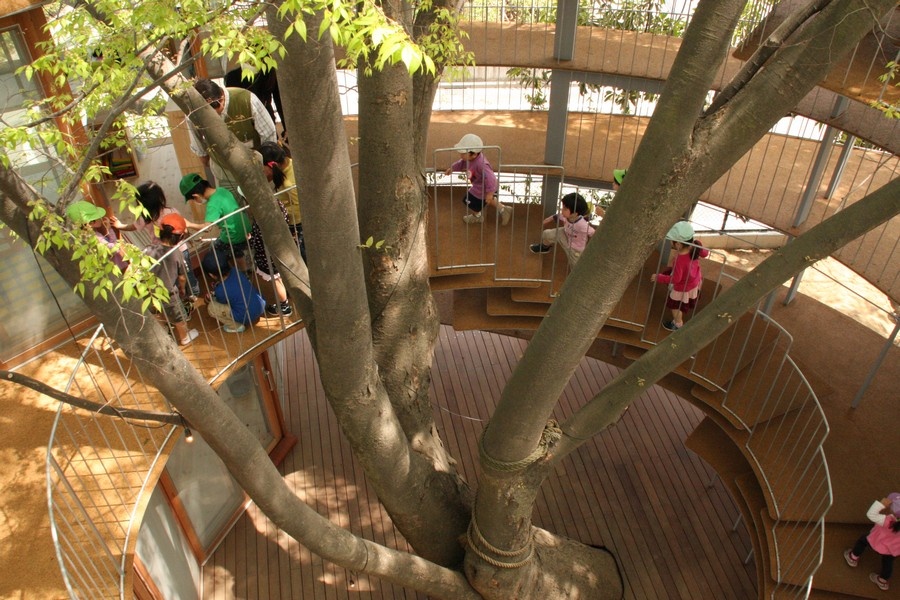 fuji_kindergarten_ring_around_a_tree_t290911_k20