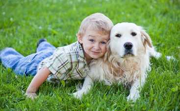 5 лучших пород собак для ребенка (ФОТО)