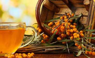 Облепиха: как правильно употреблять чудо-ягоду