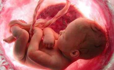 Теперь малыша в утробе можно увидеть в режиме реального времени (видео)