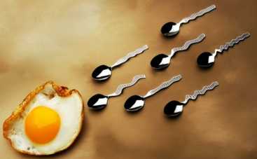 13 любопытных фактов о сперматозоидах