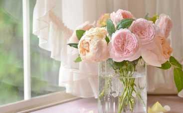 7 трюков, как надолго сохранить цветы в вазе свежими