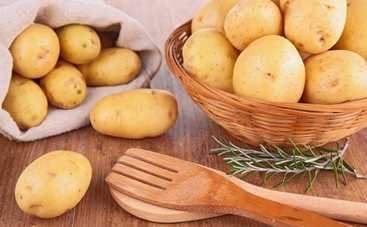Мамин блокнот: 5 новых способов использовать картофель