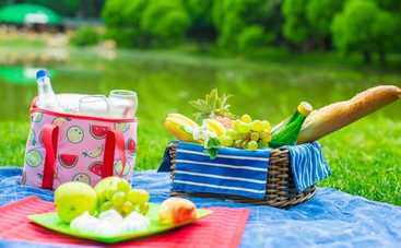 Красивая посуда для отдыха на природе: 10 невероятных идей