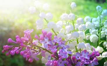 Что нельзя делать в мае: 4 запрета, о которых вы даже не догадывались