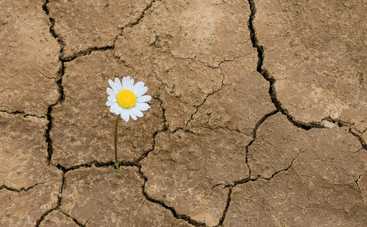 5 неожиданных фактов о жажде: мы об этом знали, но забыли