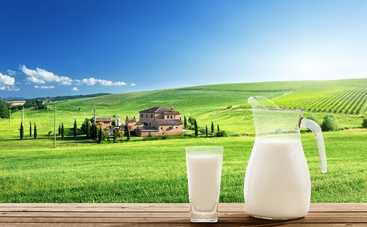 Опасное молоко: 5 причин навсегда забыть об этом продукте