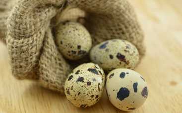 Перепелиные яйца в рационе: польза или вред?