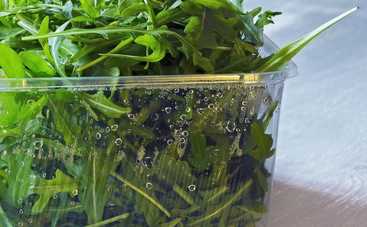 Руккола: 10 вещей, которых вы не знали об этом растении