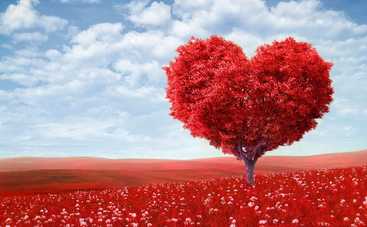 10 знаменитостей, у которых самое доброе сердце в мире