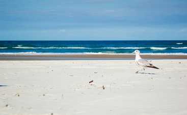 Самые удивительные и опасные пляжи, на которых лучше не отдыхать