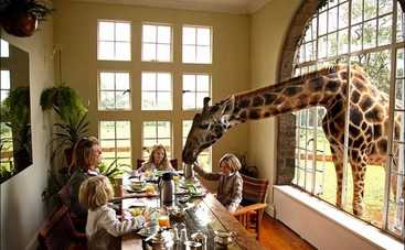 15 уникальных отелей, которые поражают воображение: это просто фантастика!