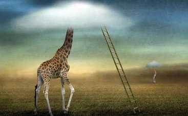 7 привычек, которые делают нас глупее: неожиданные выводы ученых