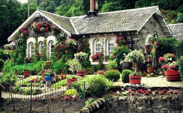 5 комнатных растений, которые приносят несчастья и проблемы со здоровьем