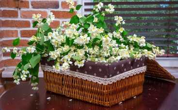 Плетеные корзины в интерьере: 15 невероятных идей для декора