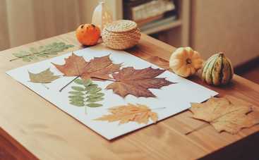 Як забавити дитину восени: 7 оригінальних способів