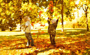 Куда пойти в Киеве с детьми 11-12 ноября