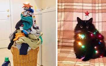 15 самых необычных новогодних елок: такого вы еще не видели!