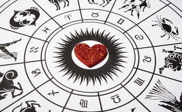 Какие вещи принесут радость знакам Зодиака в год Собаки