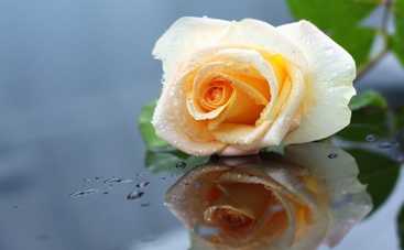 10 женщин честно признались, почему решили навсегда сохранить девственность