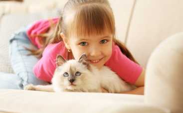 Что делать, если ребенок приволок с прогулки котенка