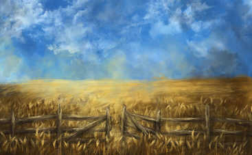 Колосок. Зажинкова казка (аудіоказка)