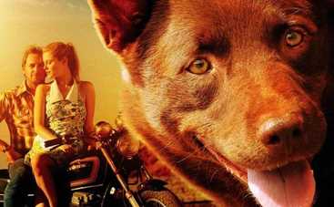 8 шикарных комедий для семейного просмотра под пледом