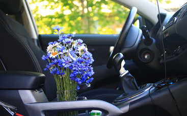 Как легко поддерживать чистоту и свежесть в машине: 4 полезных лайфхака