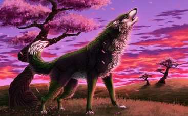 Казки закарпатської України: Про вовка, що не мав ніде щастя (аудіоказка)