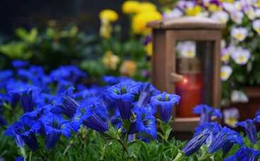 Почему беременным и детям нельзя ходить на кладбище. Или можно?