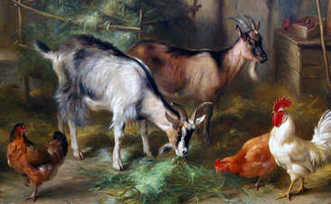 Казки закарпатської України: Чудесний столик, коза і палиця (аудіоказка)