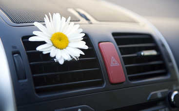 Как ароматизаторы влияют на психику водителя: какие освежители опасны