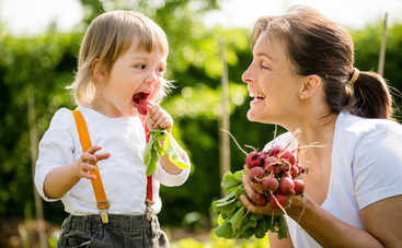 Редис в меню ребенка: польза и вред