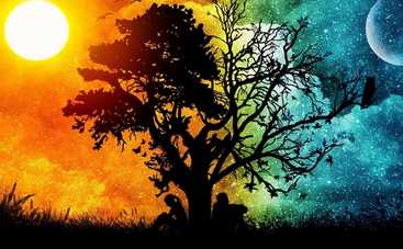 Казки закарпатської України: Як Концуфіт дістав сонце і місяць (аудіоказка)