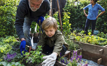 Лучшие соседи по грядке: 10 пар растений, который нужно сажать рядом