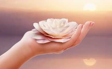 Руки расскажут о вашем здоровье: неожиданные выводы ученых