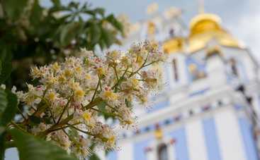 Тысячи киевлян побегут под каштанами, чтобы спасти детей с пороками сердца