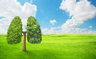 Как очистить легкие за 3 дня: полезные лайфхкаки для городских жителей