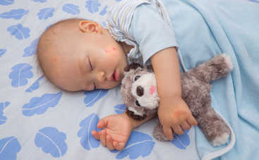 4 натуральных средства от комаров для детской: лайфхаки для мамы