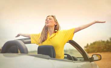 Как пережить жару в машине: 5 важных советов по выживанию