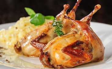 Перепелиное мясо в детском рационе: чем полезно и чем опасно