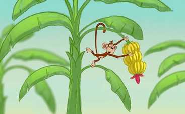 Мультфильм от Студии Квартал 95: Чому у тварин є хвіст