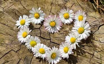 Гороскоп на 24 июня 2018 для каждого знака Зодиака