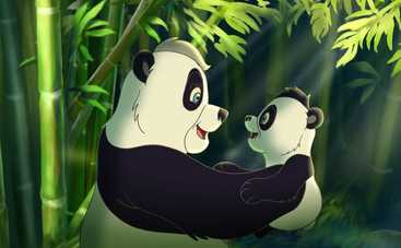 Смелый большой панда: смотреть мультфильм онлайн в хорошем качестве
