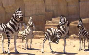 Король сафари: смотреть мультфильм онлайн в хорошем качестве