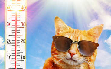 Признаки и симптомы тепловой травмы: 4 правилa первой помощи