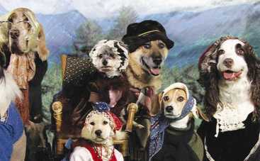 Хейди: Путешествие в Альпы: смотреть фильм онлайн в хорошем качестве