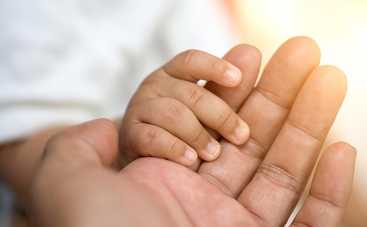 4 удивительных факта о яичках, о которых вы не знали или стеснялись спросить